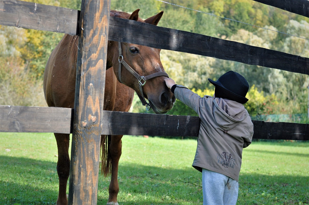 Inscription annuelle moins de 7 ans